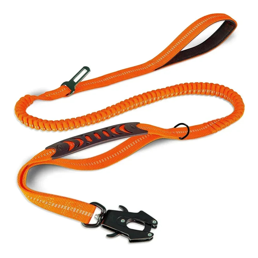 Heavy-Duty Bungee Leash