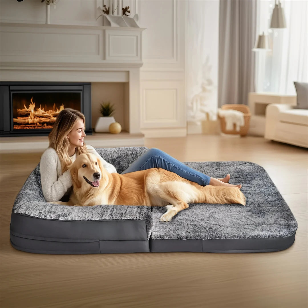 Human-Size Orthopedic Dog Bed