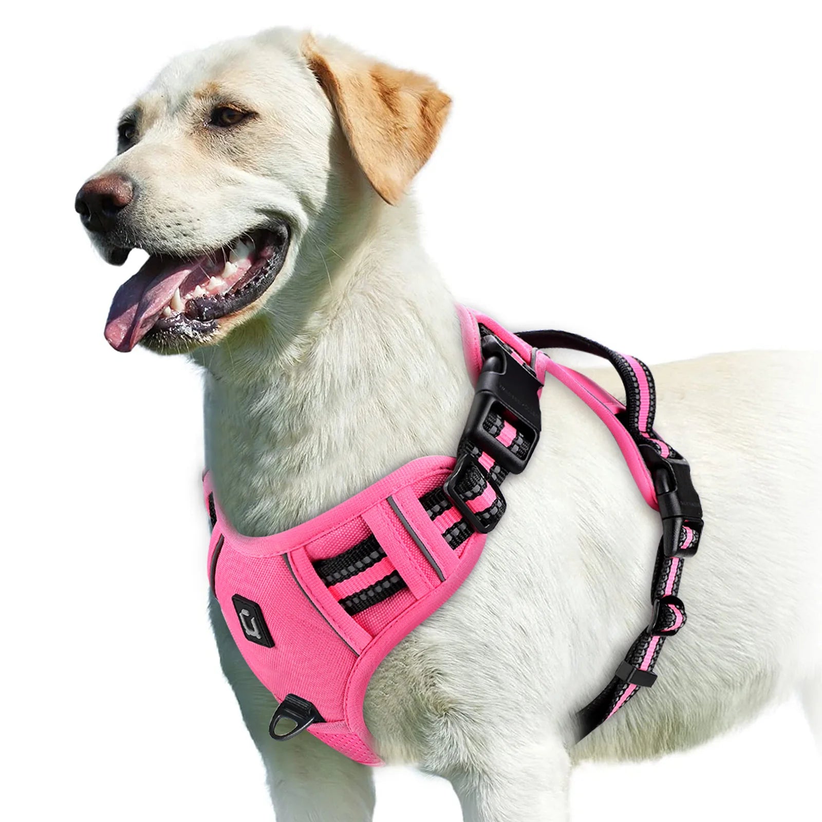 Adjustable No Pull Dog Harness