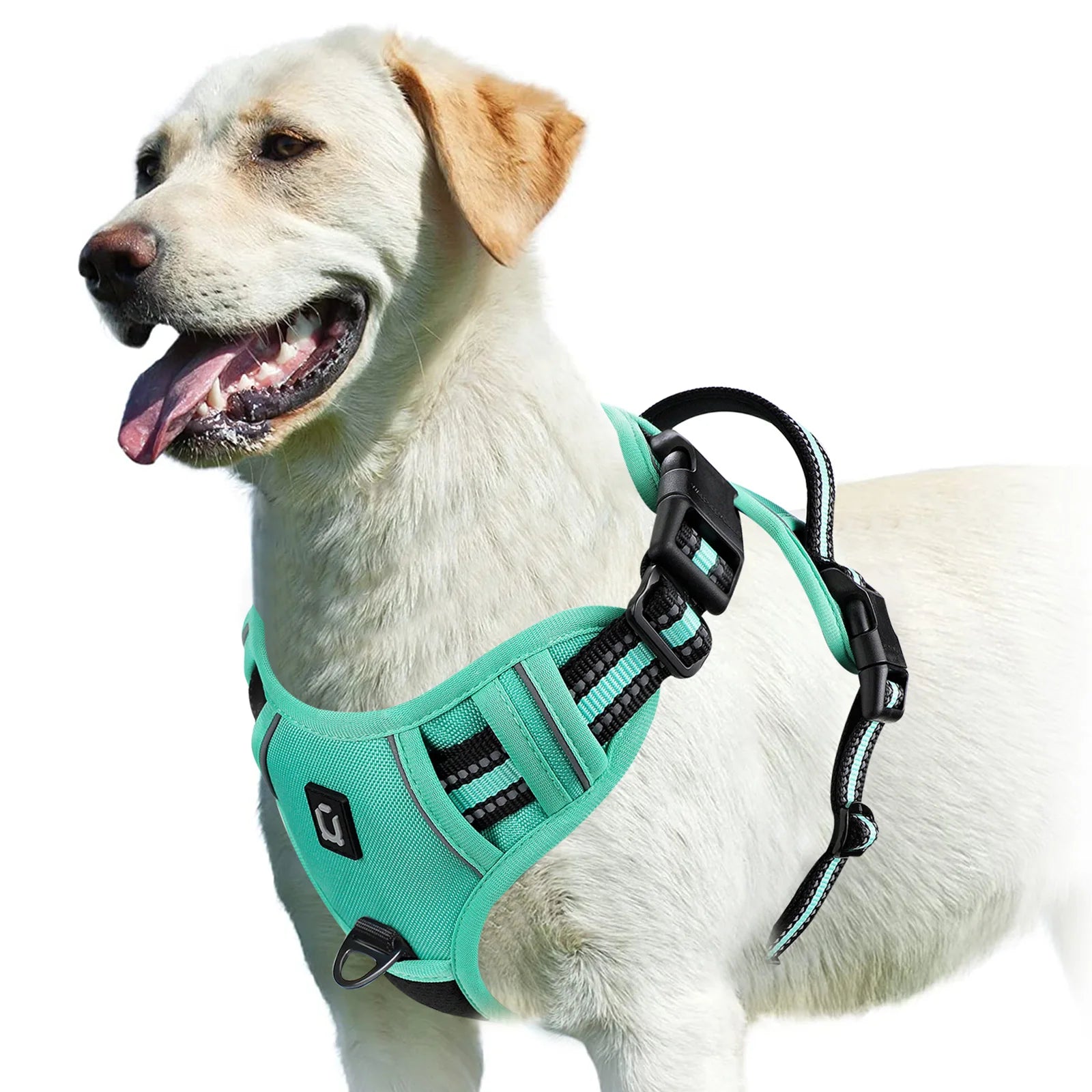 Adjustable No Pull Dog Harness