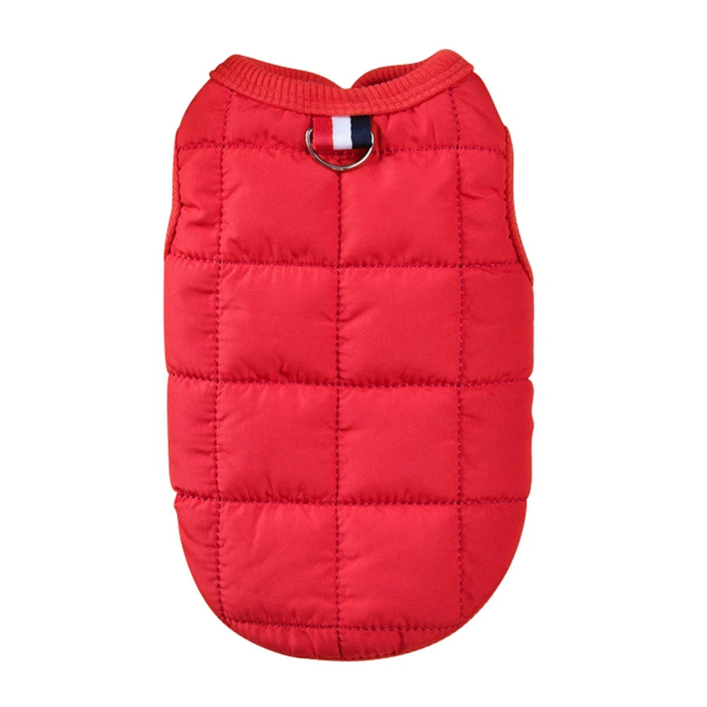 Winter Warm Cotton Padded Jacket