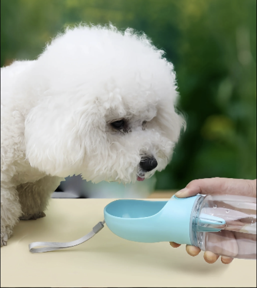 Portable Water Bottle with Food Container